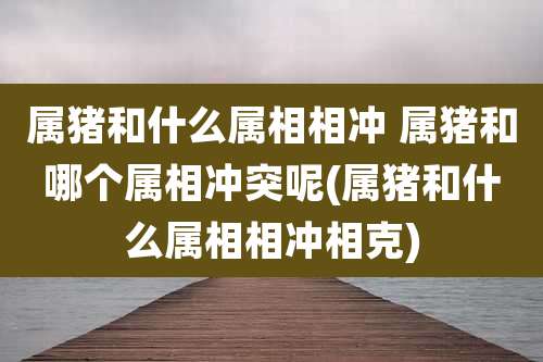 属猪和什么属相相冲 属猪和哪个属相冲突呢(属猪和什么属相相冲相克)