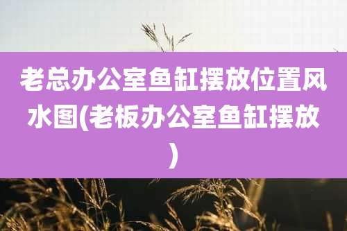 老总办公室鱼缸摆放位置风水图(老板办公室鱼缸摆放)