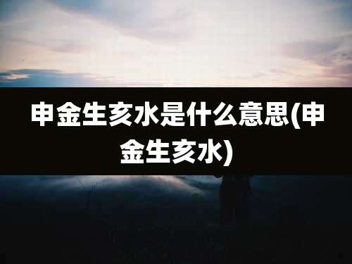 申金生亥水是什么意思(申金生亥水)
