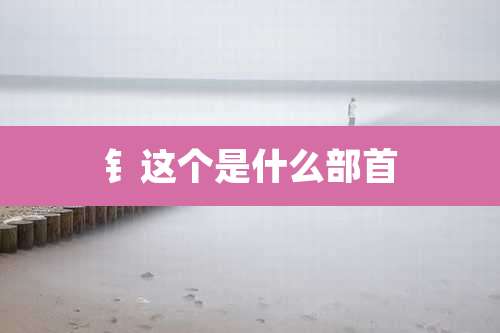 钅这个是什么部首