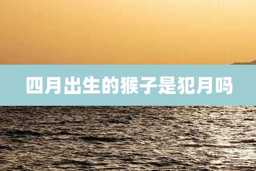 四月出生的猴子是犯月吗