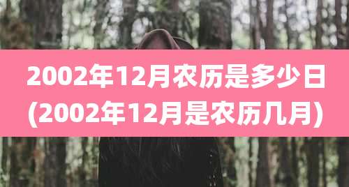 2002年12月农历是多少日(2002年12月是农历几月)