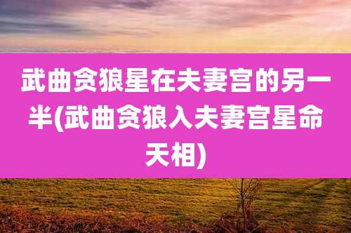 武曲贪狼星在夫妻宫的另一半(武曲贪狼入夫妻宫星命天相)