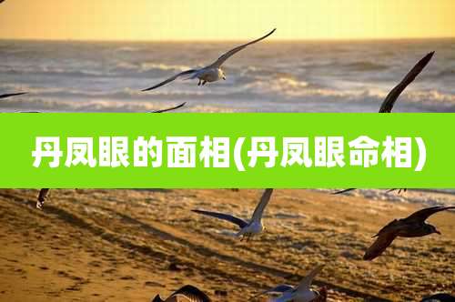 丹凤眼的面相(丹凤眼命相)