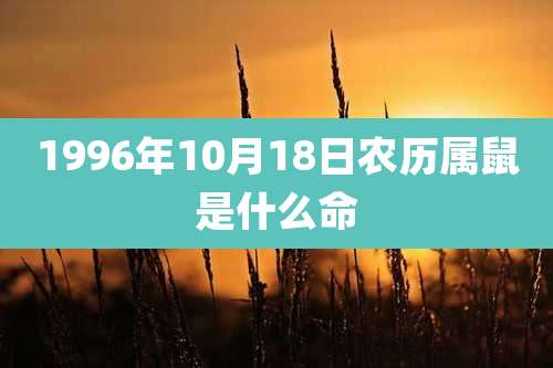 1996年10月18日农历属鼠是什么命