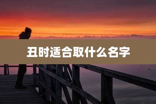丑时适合取什么名字