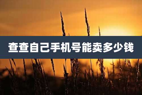 查查自己手机号能卖多少钱