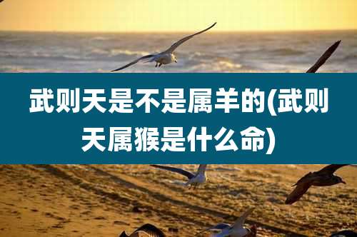 武则天是不是属羊的(武则天属猴是什么命)