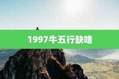 1997牛五行缺啥