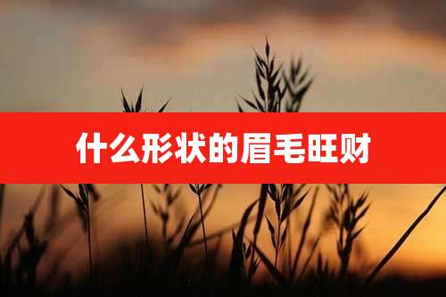 什么形状的眉毛旺财