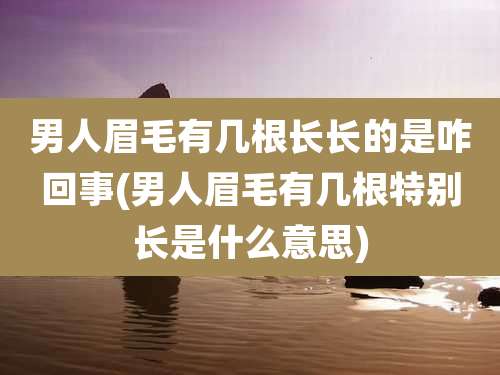 男人眉毛有几根长长的是咋回事(男人眉毛有几根特别长是什么意思)