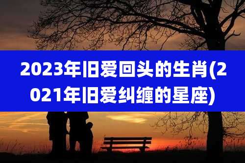 2023年旧爱回头的生肖(2021年旧爱纠缠的星座)