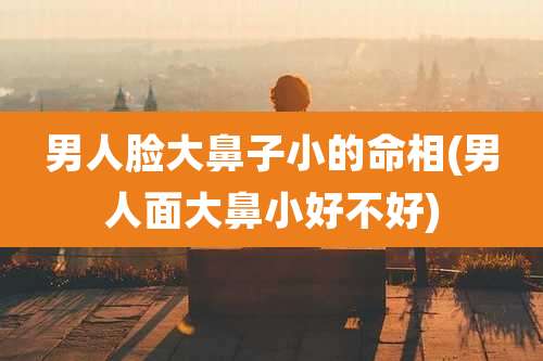 男人脸大鼻子小的命相(男人面大鼻小好不好)