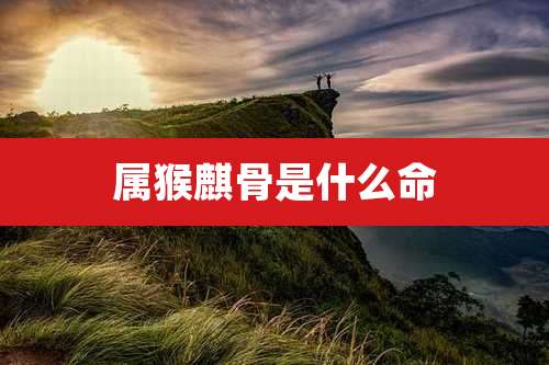 属猴麒骨是什么命