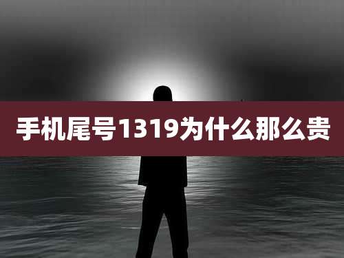 手机尾号1319为什么那么贵