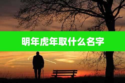 明年虎年取什么名字