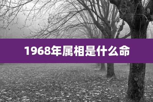 1968年属相是什么命