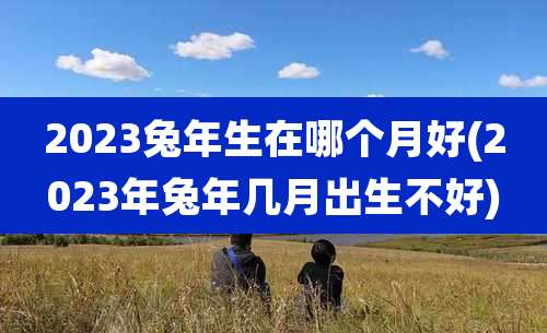 2023兔年生在哪个月好(2023年兔年几月出生不好)