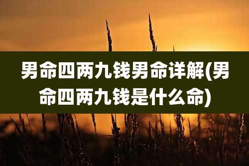 男命四两九钱男命详解(男命四两九钱是什么命)