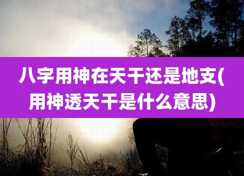 八字用神在天干还是地支(用神透天干是什么意思)