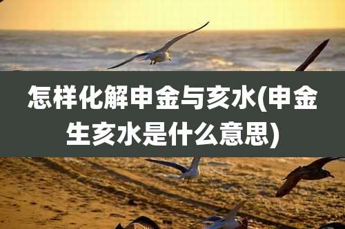 怎样化解申金与亥水(申金生亥水是什么意思)