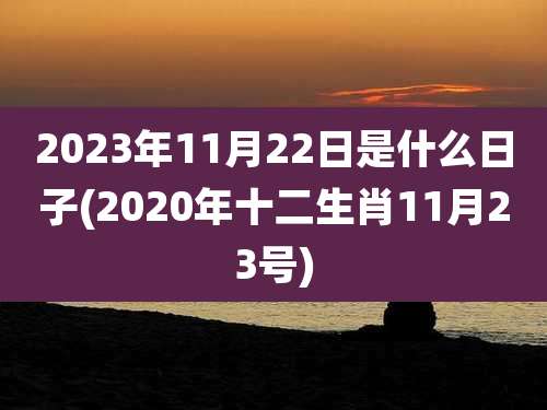 2023年11月22日是什么日子(2020年十二生肖11月23号)