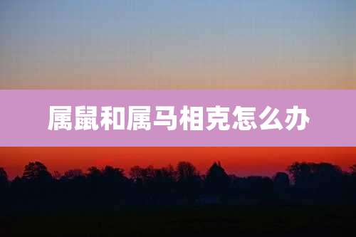 属鼠和属马相克怎么办