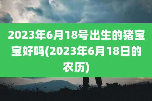 2023年6月18号出生的猪宝宝好吗(2023年6月18日的农历)