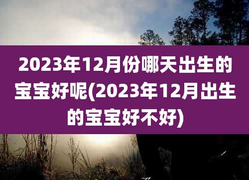 2023年12月份哪天出生的宝宝好呢(2023年12月出生的宝宝好不好)