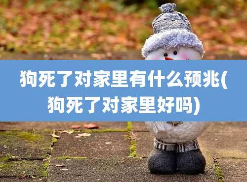 狗死了对家里有什么预兆(狗死了对家里好吗)
