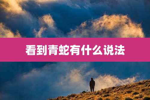 看到青蛇有什么说法