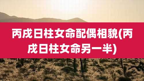 丙戌日柱女命配偶相貌(丙戌日柱女命另一半)