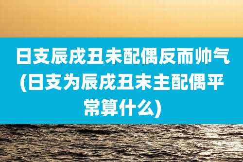 日支辰戌丑未配偶反而帅气(日支为辰戌丑末主配偶平常算什么)