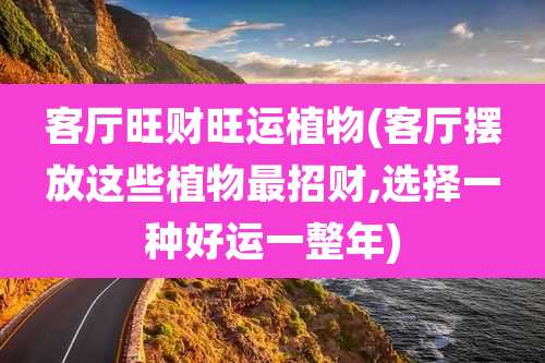 客厅旺财旺运植物(客厅摆放这些植物最招财,选择一种好运一整年)