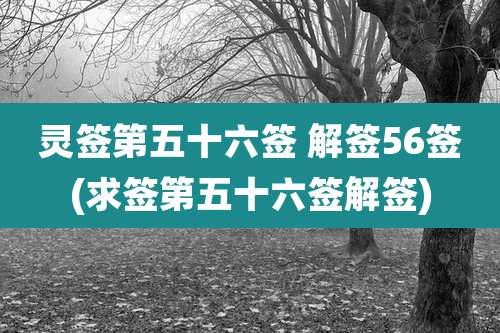 灵签第五十六签 解签56签(求签第五十六签解签)