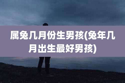 属兔几月份生男孩(兔年几月出生最好男孩)