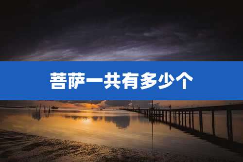 菩萨一共有多少个