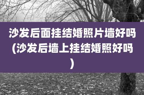 沙发后面挂结婚照片墙好吗(沙发后墙上挂结婚照好吗)