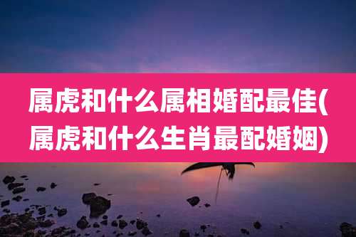 属虎和什么属相婚配最佳(属虎和什么生肖最配婚姻)