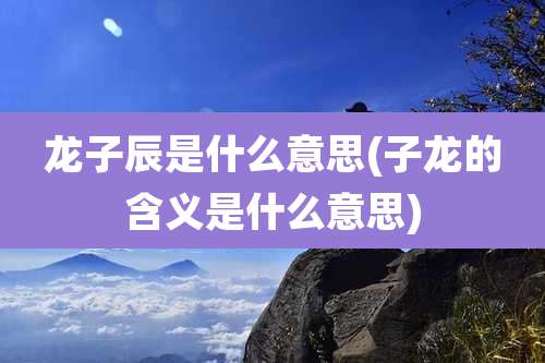 龙子辰是什么意思(子龙的含义是什么意思)