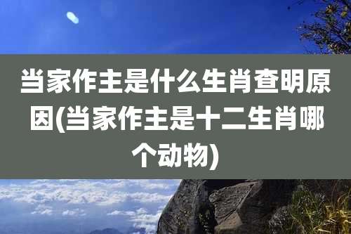 当家作主是什么生肖查明原因(当家作主是十二生肖哪个动物)