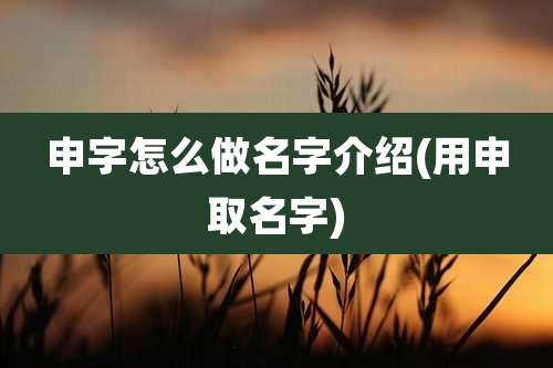 申字怎么做名字介绍(用申取名字)