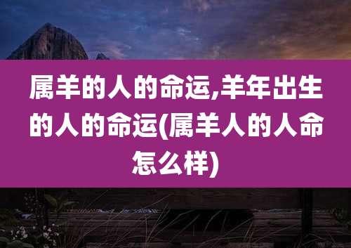 属羊的人的命运,羊年出生的人的命运(属羊人的人命怎么样)