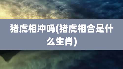 猪虎相冲吗(猪虎相合是什么生肖)