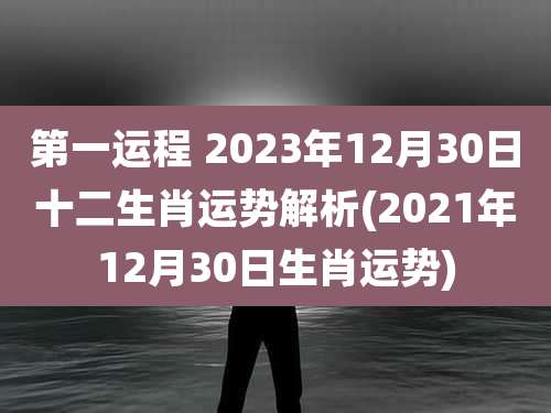 第一运程 2023年12月30日十二生肖运势解析(2021年12月30日生肖运势)