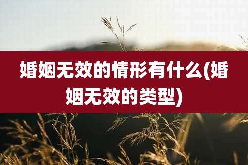 婚姻无效的情形有什么(婚姻无效的类型)