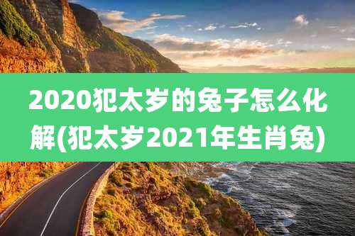 2020犯太岁的兔子怎么化解(犯太岁2021年生肖兔)