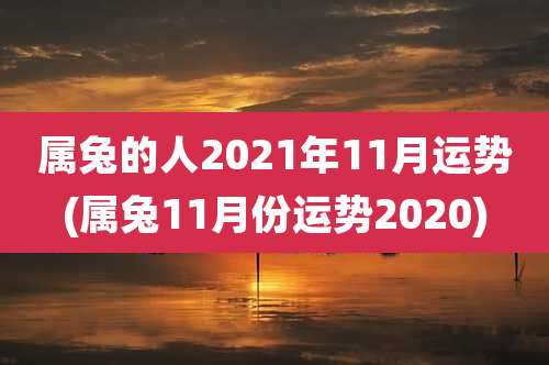 属兔的人2021年11月运势(属兔11月份运势2020)