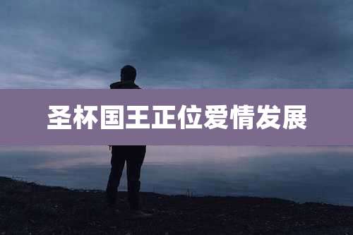 圣杯国王正位爱情发展