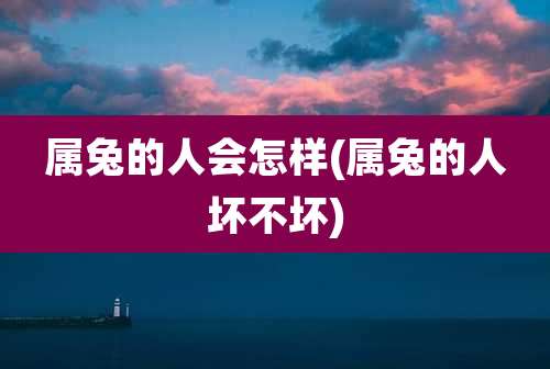 属兔的人会怎样(属兔的人坏不坏)